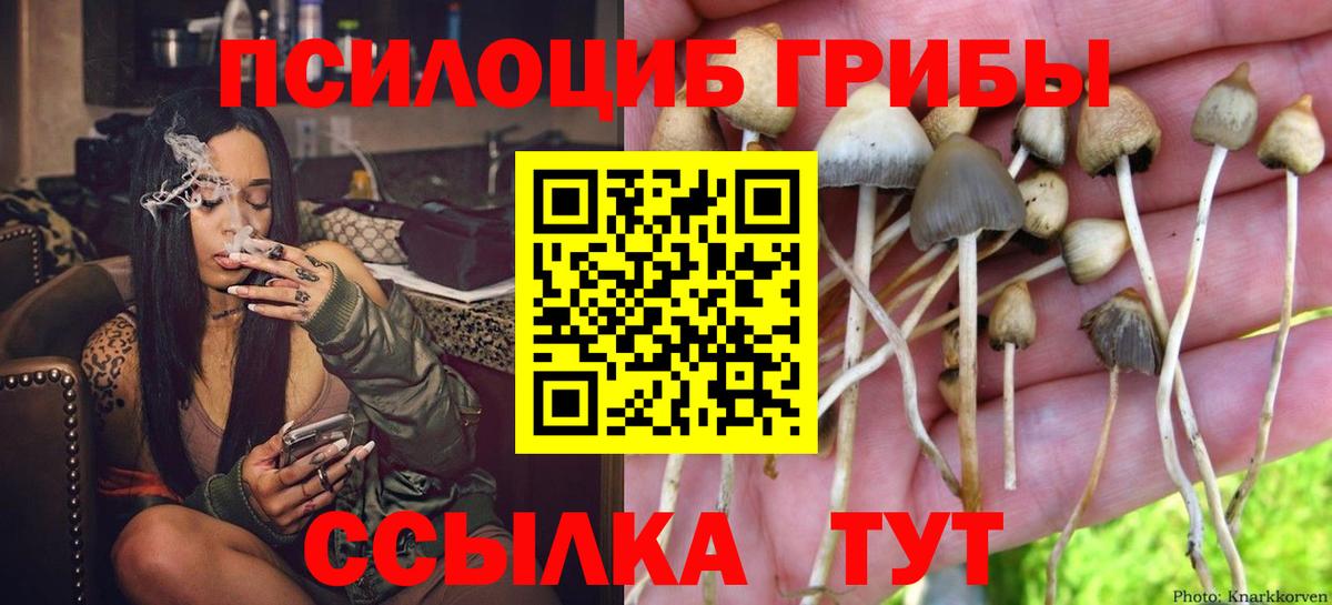 Елабуга  Галлюциногенные грибы мицелий  Вход с VPN 